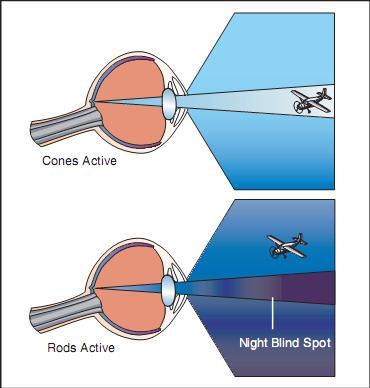 Night blind spot.